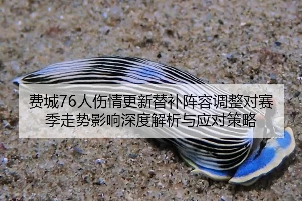 费城76人伤情更新替补阵容调整对赛季走势影响深度解析与应对策略